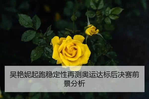 吴艳妮起跑稳定性再测奥运达标后决赛前景分析